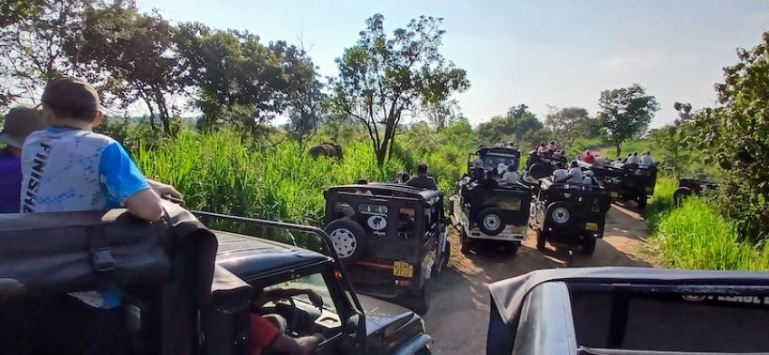 Safari vehicles jostle for a view of the elephant herds in Hurulu Eco Park