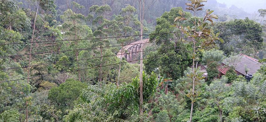 First glimpse of Nine Arch Bridge from hill side. Photo: Uttara Gangopadhyay