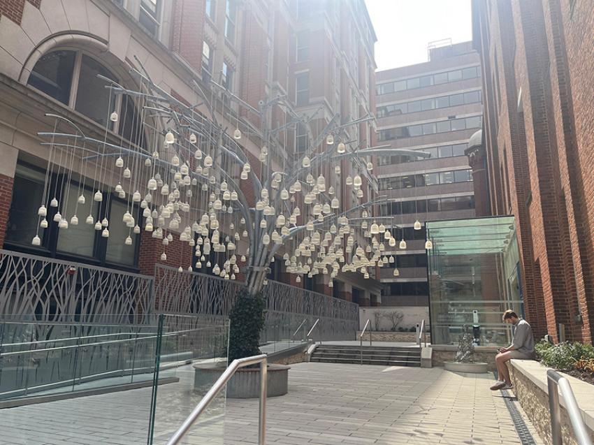 "Speaking Willow" is a tall electronic tree greeting you in the courtyard.