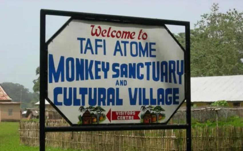 Ghana: Ever thought of visiting a traditional grove conservation site? 