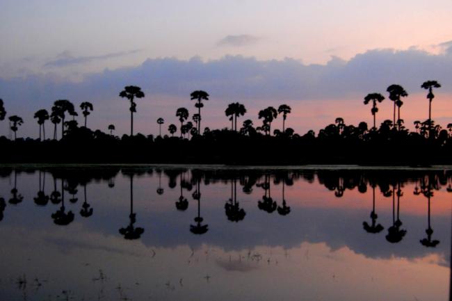 Lanka lore: Tiger trail Jaffna