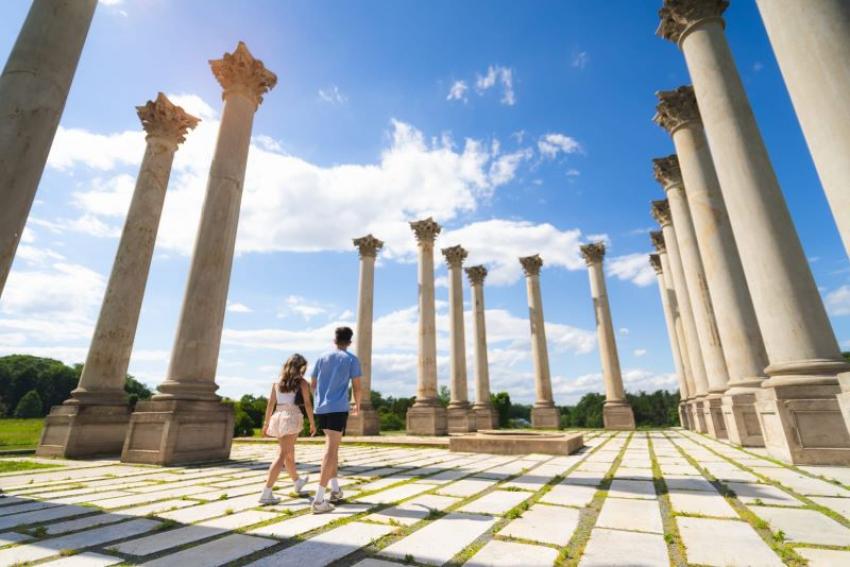 U.S. National Arboretum. Photo: media.indivamarketing