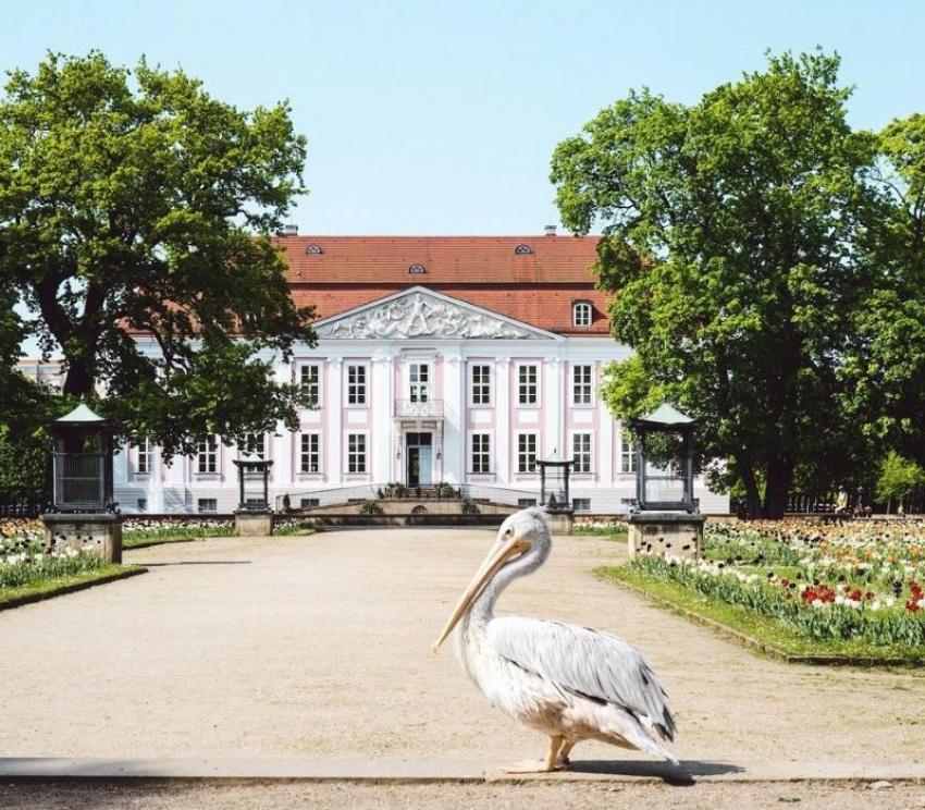 Tierpark, Berlin. Photo: Visit Berlin FB