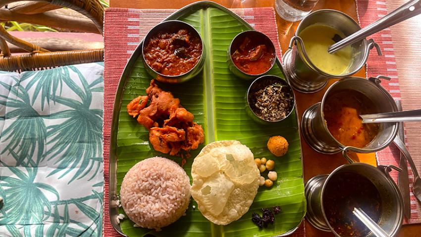 South Indian Thali for lunch at Tamarind Tree restaurant